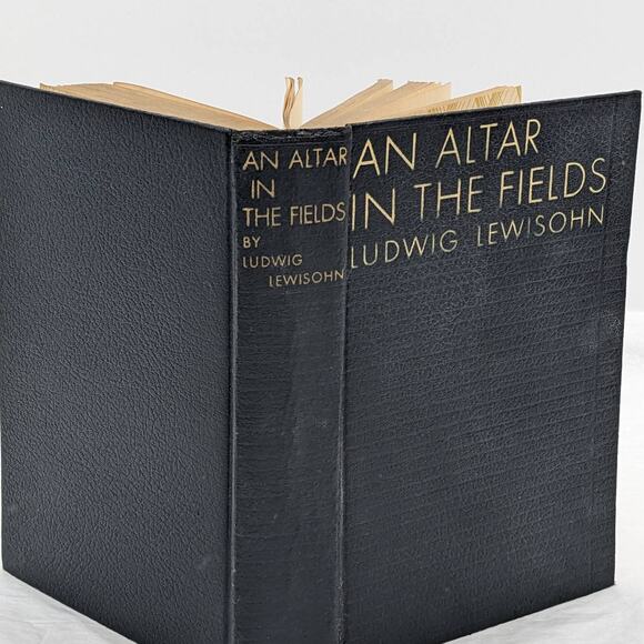 An Altar In The Fields By Ludwig Lewisohn Vintage Novel First Edition 1934 - Picture 1 of 15